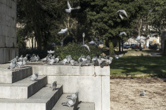 SMRL5654_1