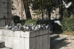 SMRL5657_1