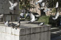 SMRL5658_1