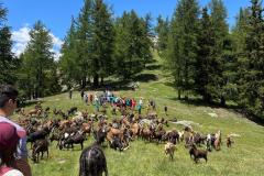IMG-20230706-WA0130