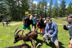 IMG-20230706-WA0134