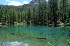 IMG_20230704_124929845_MFNR
