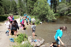 IMG_20230704_135430947_MFNR