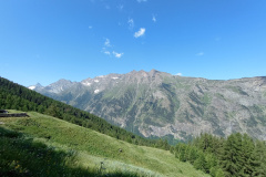 IMG_20230706_111546829_MFNR