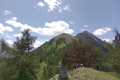 IMG_20230706_130319396_MFNR