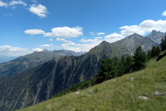 IMG_20230706_134046764_MFNR