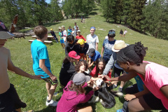 IMG_20230706_142755678_MFNR