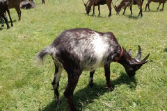 IMG_20230706_142959571_MFNR