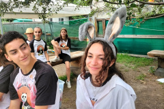 IMG20240626161818