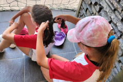 IMG20240627140458