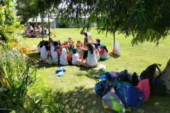 IMG20240612114037