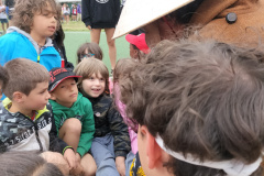 IMG20240614164750