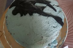 IMG-20250622-WA0007