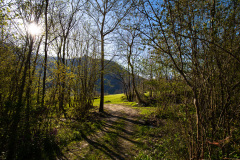 SMRL0738_1