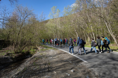 SMRL0739_1