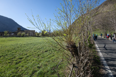 SMRL0746_1
