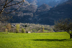 SMRL0748_1