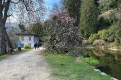 IMG-20250330-WA0009