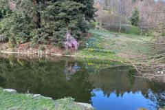 IMG-20250330-WA0011