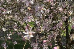 IMG-20250330-WA0012