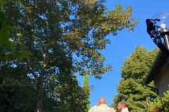IMG-20250808-WA0021