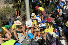 IMG_2590