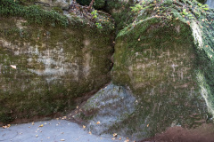 SMRL3349_1