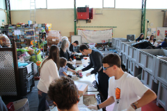 IMG_8254